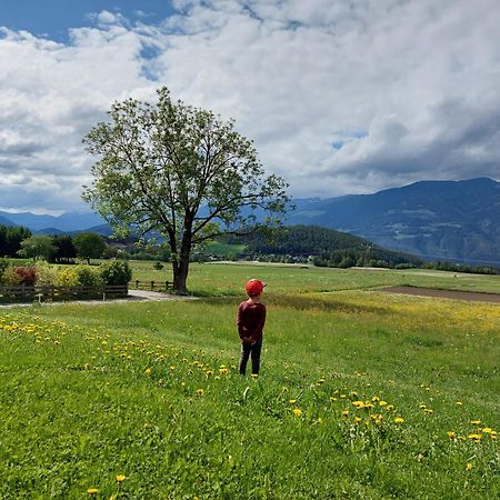Krebslechnerhof Βίλα Μπρούνικο Εξωτερικό φωτογραφία